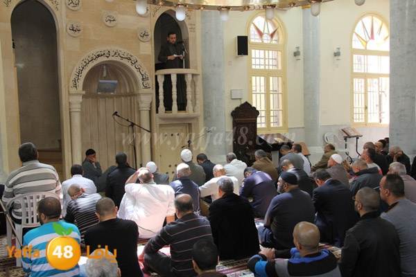 suliman h33jq (1).JPG